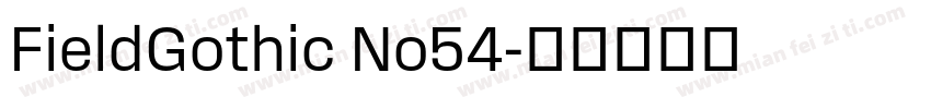 FieldGothic No54字体转换